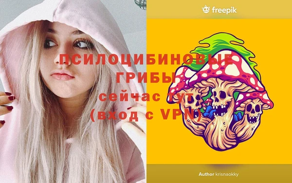 прущий лед Верея