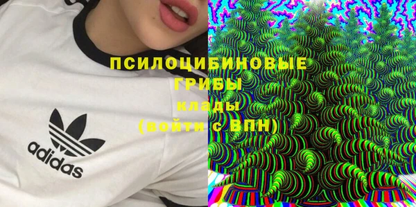 таблы Верхний Тагил