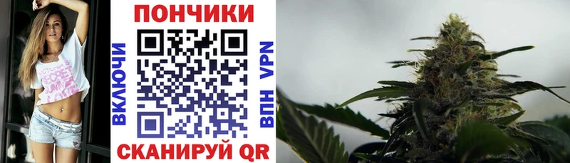 Бошки марихуана гибрид  Сыктывкар 
